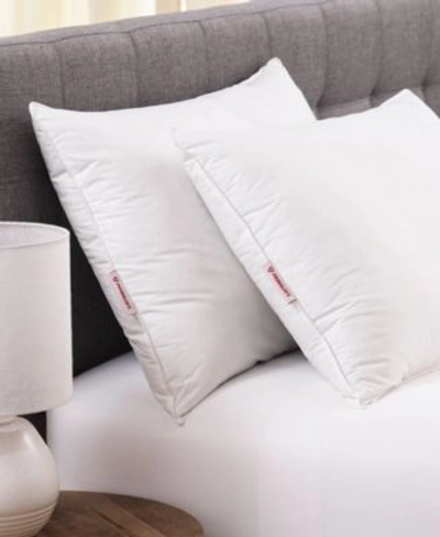 Allied Home Bi Ome Primaloft Pillow Collection In White
