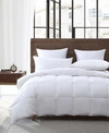 SMITHSONIAN SLEEP COLLECTION NATURAL DOWN FEATHERS ALL SEASON COMFORTERS
