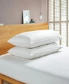 Serta White Goose Feather Down Fiber Bed Pillows 2 Pack Back Sleeper In White
