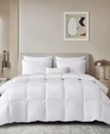 BEAUTYREST WHITE FEATHER DOWN FIBER ALL SEASON LYOCELL COTTON BLEND COMFORTERS