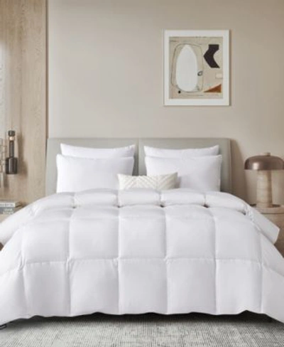 Beautyrest All Seasons Feather Down Comforter Collection In White