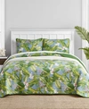 TOMMY BAHAMA HOME AREGADA DOCK REVERSIBLE QUILT SET COLLECTION