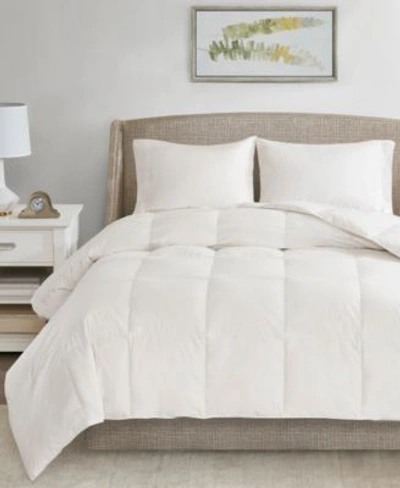 Sleep Philosophy True North By  All Season Warmth Oversized 100 Cotton Down Comforter Collection In White