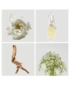 Donna Karan Cashmere Mist Eau De Toilette Fragrance Collection