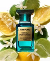 TOM FORD NEROLI PORTOFINO EAU DE PARFUM FRAGRANCE COLLECTION