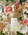 Guerlain Aqua Allegoria Nerolia Vetiver Eau De Toilette Fragrance Collection