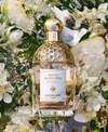 GUERLAIN AQUA ALLEGORIA PERA GRANITA EAU DE TOILETTE FRAGRANCE COLLECTION