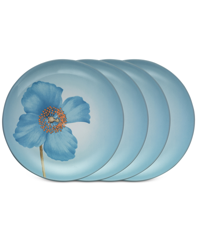 Noritake Colorwave Floral Accent Plates, Set Of 4 In Ice
