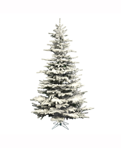 Vickerman 7.5 Ft Flocked Sierra Fir Artificial Christmas Tree Unlit