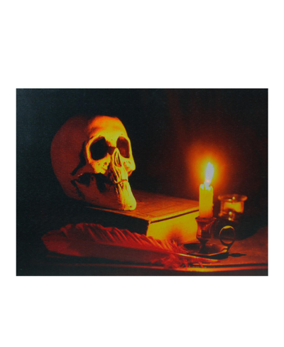 Northlight Led Lighted Skull By Flickering Candlelight Halloween Canvas Wall Art, 12" X 15.75" In Black