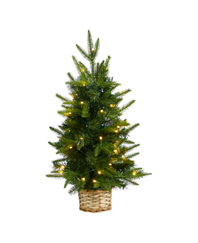 Nearly Natural Artificial Christmas Tree With 35 Clear Led Lights In Decorative Basket, 2' In Green