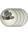Noritake Colorwave Floral Accent Plates, Set Of 4 In Graphite