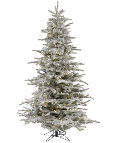 Vickerman 8.5' Flocked Sierra Fir Artificial Christmas Tree With 850 Warm White Led Lights