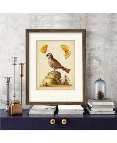 Courtside Market Natural Habitat Iv Framed Matted Art Collection In Multi