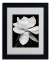 TRADEMARK GLOBAL MAGNOLIA MATTED FRAMED CANVAS PRINT BY MICHAEL HARRISON