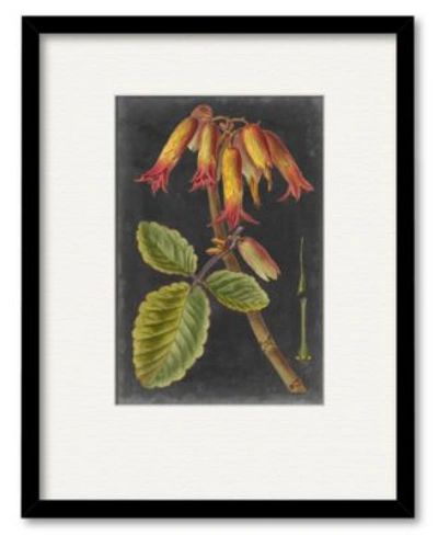 Courtside Market Dramatic Tropicals Iii Framed Matted Art Collection In Multi
