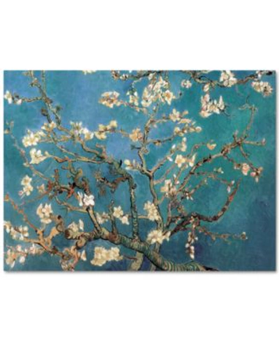 Trademark Global Almond Blossoms By Vincent Van Gogh Canvas Print