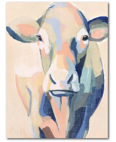 Courtside Market Hertford Holstein Ii Gallery Wrapped Canvas Wall Art Collection In Multi