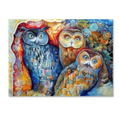 Trademark Global Oxana Ziaka Owls Canvas Art Print Collection In Multi