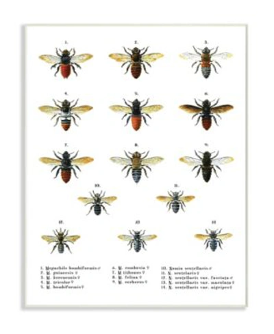 Stupell Industries Bees Scientific Vintage Inspired Illustration Art Collection In Multi