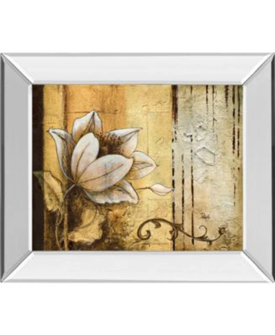 Classy Art Exotic On Gold By Patty Q Mirror Framed Print Wall Art Collection