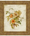 Classy Art Roses On Newsprint By Lanie Loreth Framed Print Wall Art Collection In Tan