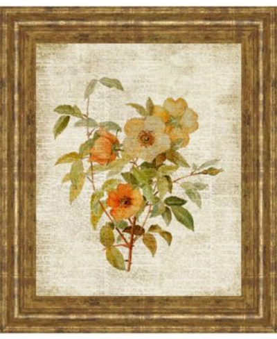 Classy Art Roses On Newsprint By Lanie Loreth Framed Print Wall Art Collection In Tan