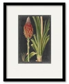 COURTSIDE MARKET DRAMATIC TROPICALS IV FRAMED MATTED ART COLLECTION