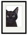 COURTSIDE MARKET CAT PORTRAIT OF GUS FRAMED MATTED ART COLLECTION