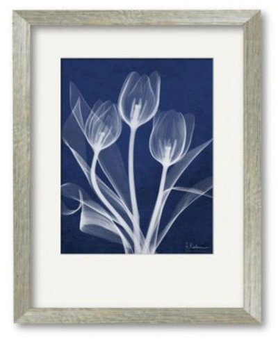Courtside Market Tulip Blueprint X Ray Framed Matted Art Collection In Multi