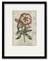 Courtside Market Treasures Of The Earth Ii Framed Matted Art Collection In Multi