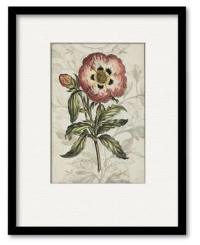 Courtside Market Treasures Of The Earth Ii Framed Matted Art Collection In Multi