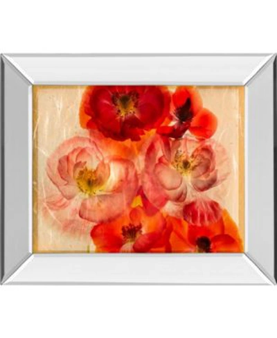 Classy Art Papaver Dreams By Harold Davis Mirror Framed Print Wall Art Collection In Red