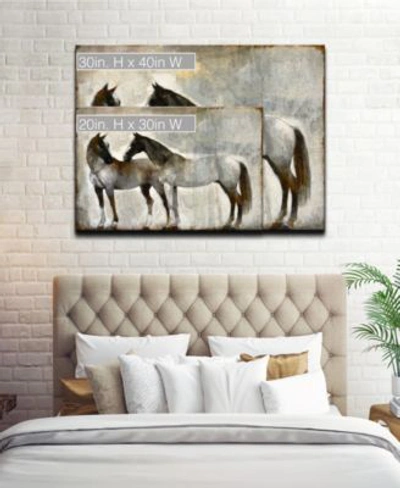Ready2hangart Gentle Equestrian Canvas Wall Art Collection In Multi
