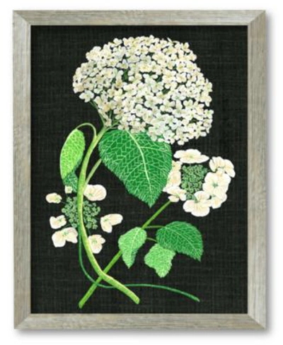 Courtside Market Hydrangea Study Ii Framed Canvas Wall Art Collection In Multi