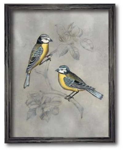 Courtside Market Aviary I Framed Canvas Wall Art Collection In Multi