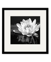COURTSIDE MARKET WATERLILY FLOWER I FRAMED MATTED ART COLLECTION