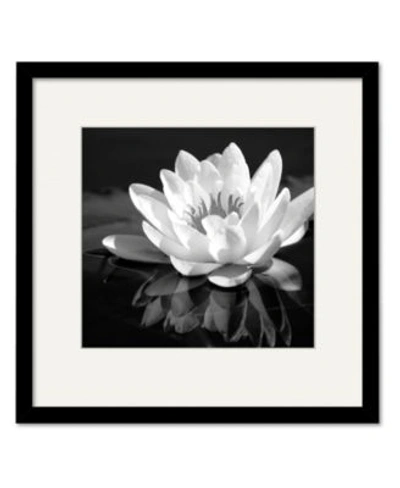 Courtside Market Waterlily Flower I Framed Matted Art Collection In Multi