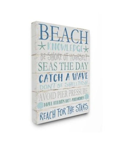 Stupell Industries Beach Knowledge Blue Aqua White Planked Look Sign Collection In Multi