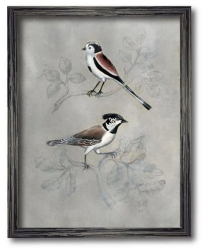 Courtside Market Aviary Iv Framed Canvas Wall Art Collection In Multi