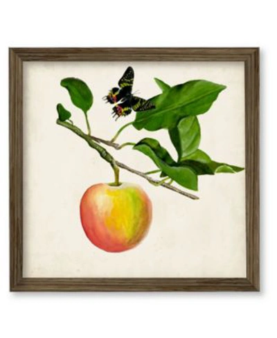 Courtside Market Fruit With Butterflies Iv Framed Canvas Wall Art Collection In Multi