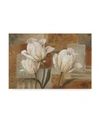 TRADEMARK GLOBAL LISA AUDIT TULIP WALTZ I CANVAS ART