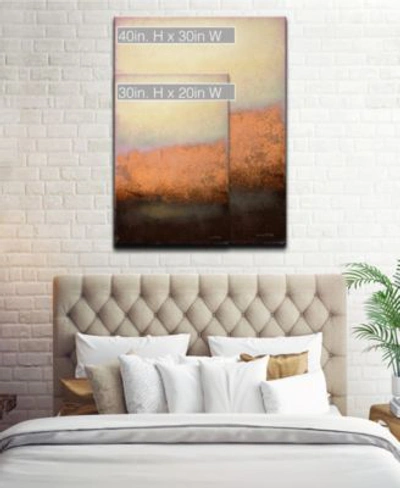 Ready2hangart Mesmerizing Fog Abstract Canvas Wall Art Collection In Multicolor
