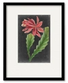 COURTSIDE MARKET DRAMATIC TROPICALS I FRAMED MATTED ART COLLECTION