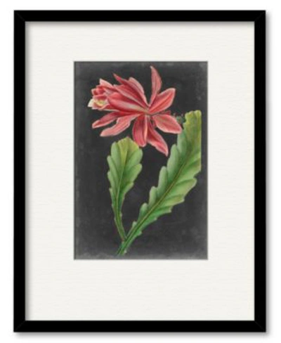 Courtside Market Dramatic Tropicals I Framed Matted Art Collection In Multi