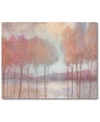 COURTSIDE MARKET BLUSHING TREES GALLERY WRAPPED CANVAS WALL ART COLLECTION