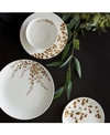 VERA WANG WEDGWOOD JARDIN DINNERWARE COLLECTION