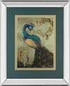 CLASSY ART PEACOCK ON SAGE BY TIFFANY HAKIMIPOUR MIRROR FRAMED PRINT WALL ART COLLECTION