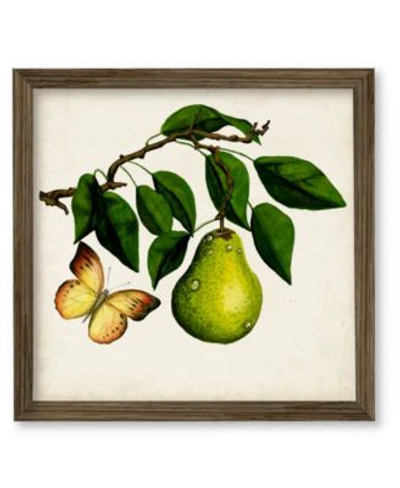 Courtside Market Fruit With Butterflies I Framed Canvas Wall Art Collection In Multi