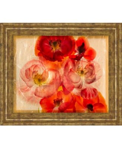 Classy Art Papaver Dreams By Harold Davis Framed Print Wall Art Collection In Red